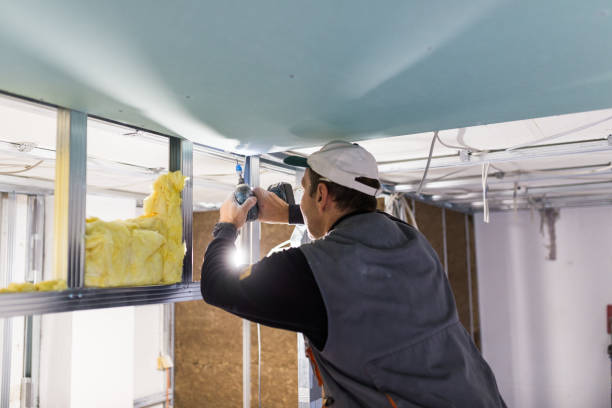 Best Blown-in Insulation in Citrus City, TX