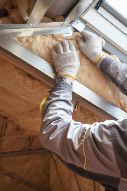 Best Cellulose Insulation in Citrus City, TX