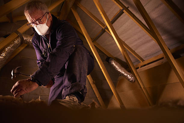 Best Eco-Friendly Insulation in Citrus City, TX